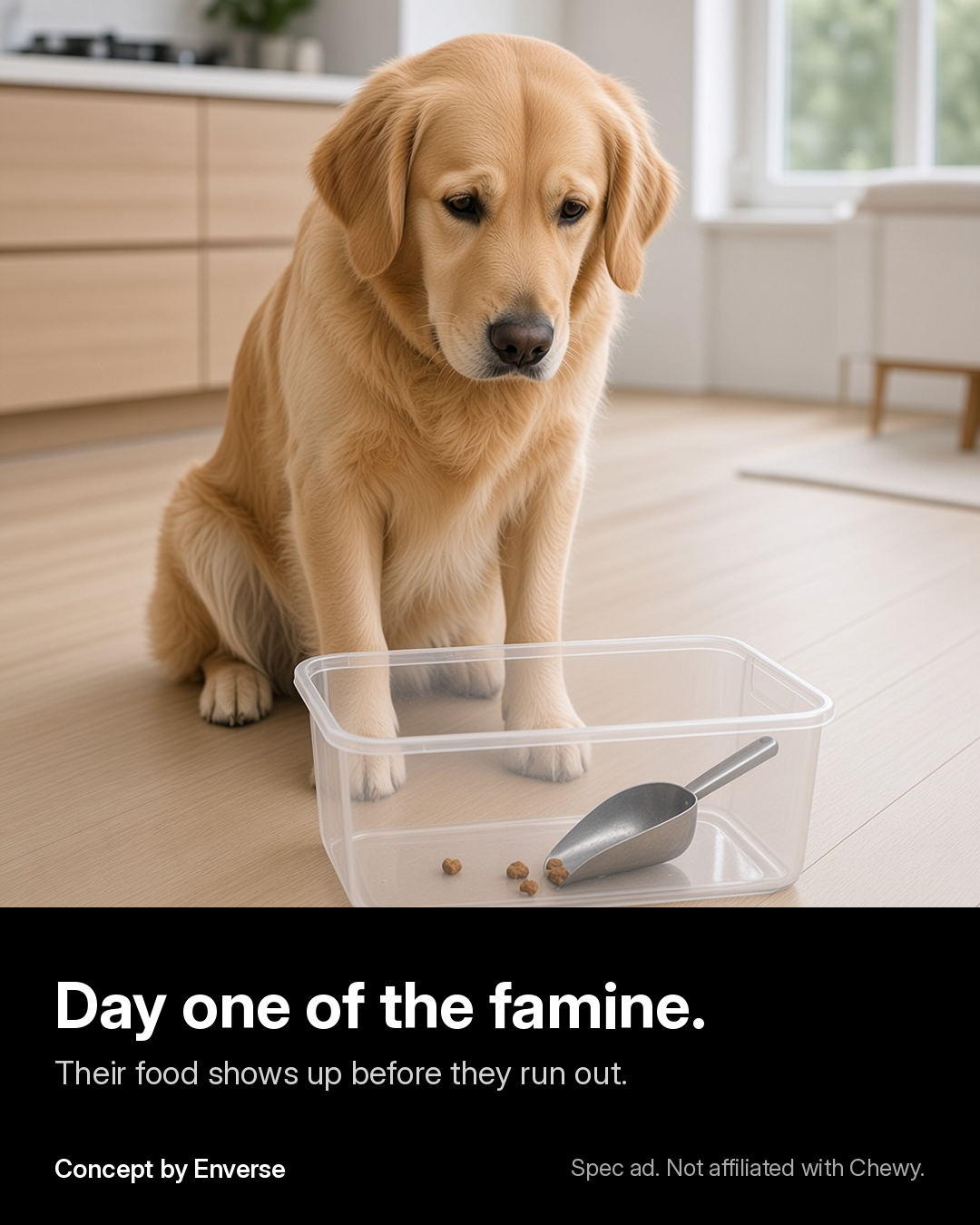 The Last Scoop static ad